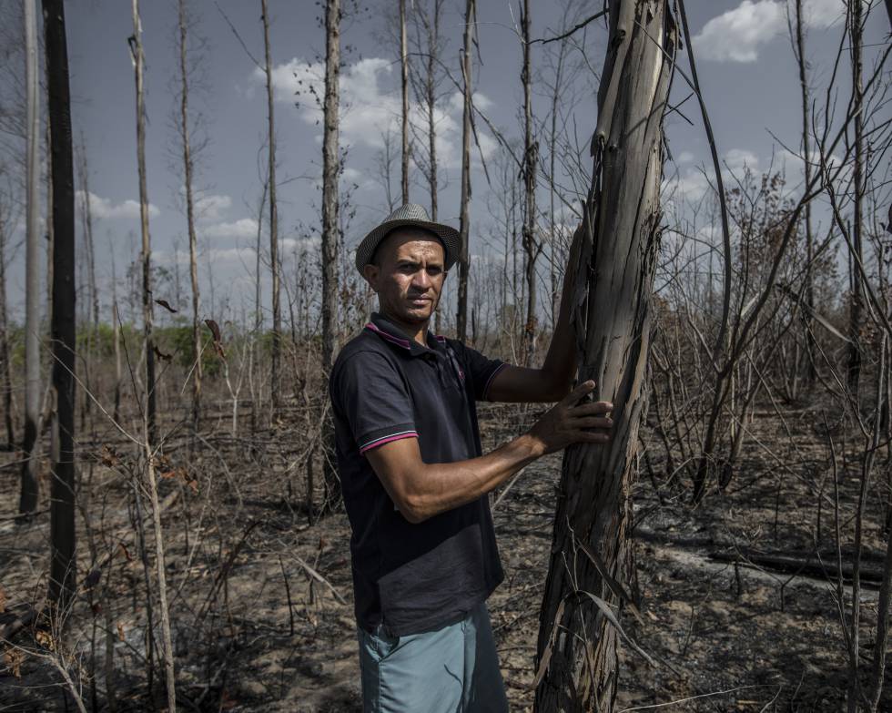 Marcone Ramalho en uno de los campos de eucaliptos que ahora absorben el agua de los ríos de Forquilha (Piauí)