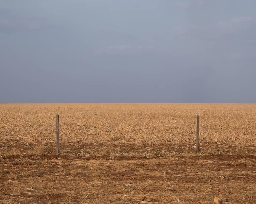 El paisaje en Sussuarana (Tocantins)